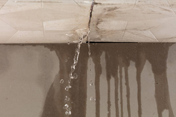 Professional Structural Drying technician working in Isle Au Haut, ME